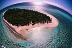 heron island202