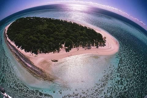 heron island4